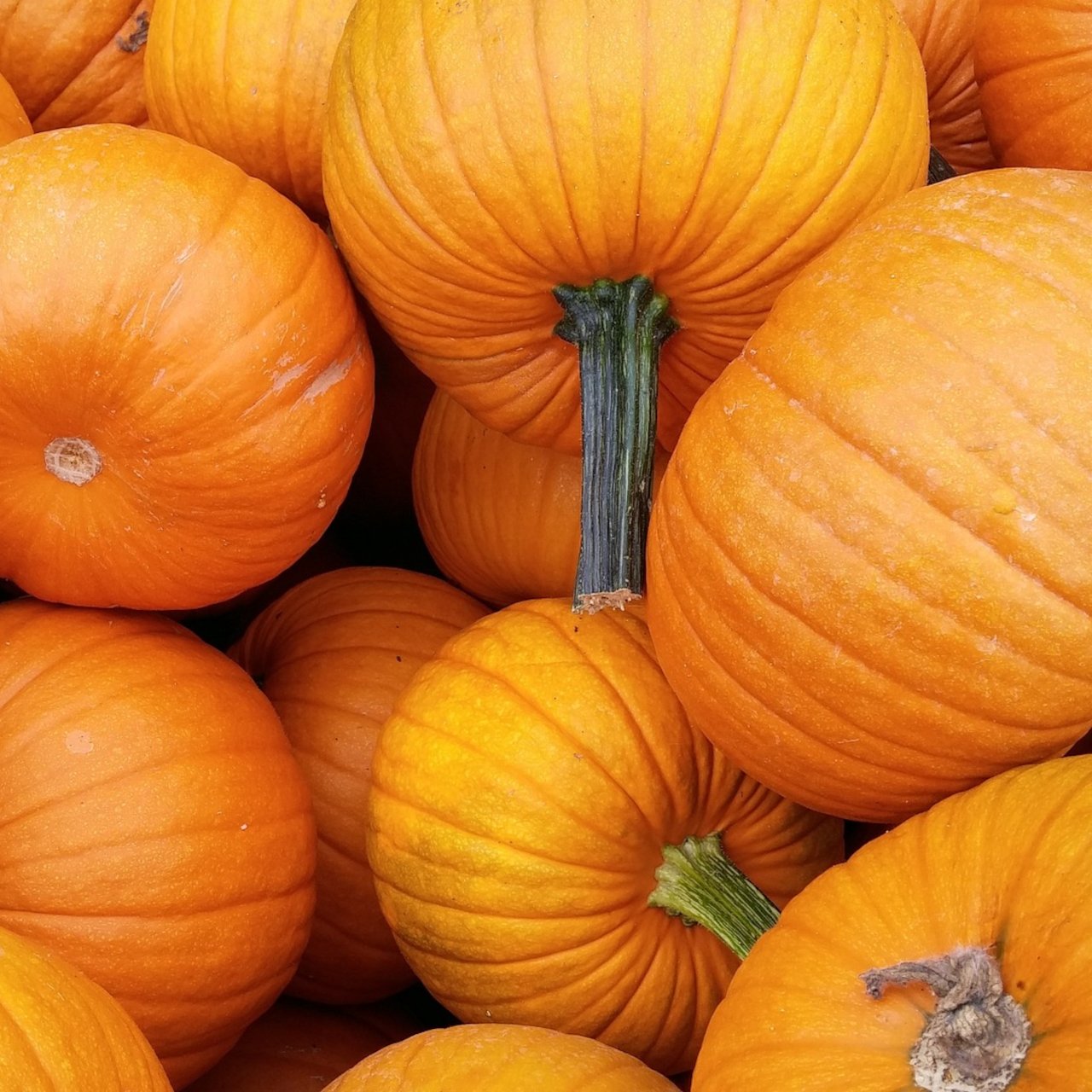 Fall
